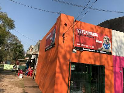 Veterinaria Nueva Lavalleja