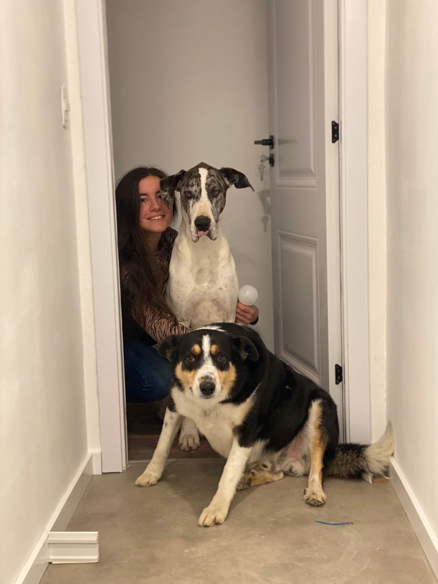 Cami Petsitter