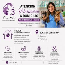 Veterinaria Vital vet