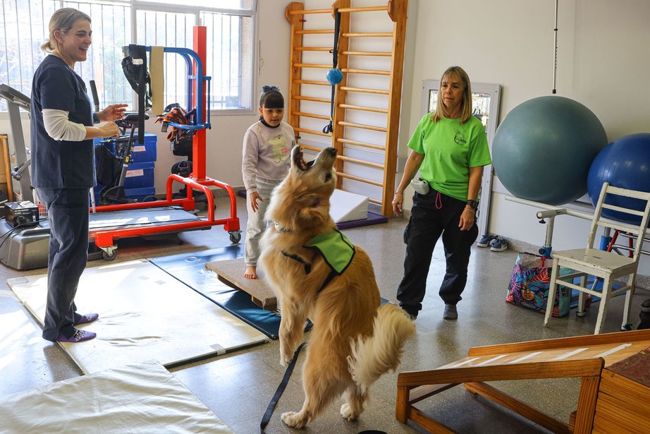 Clinica de Rehabilitacion para mascotas