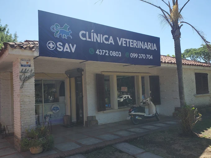 Sociedad de Asistencia Veterinaria - SAV