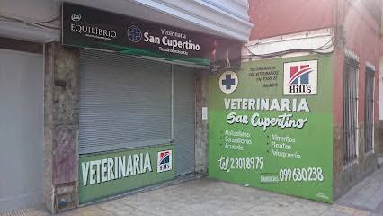 Veterinaria San Cupertino
