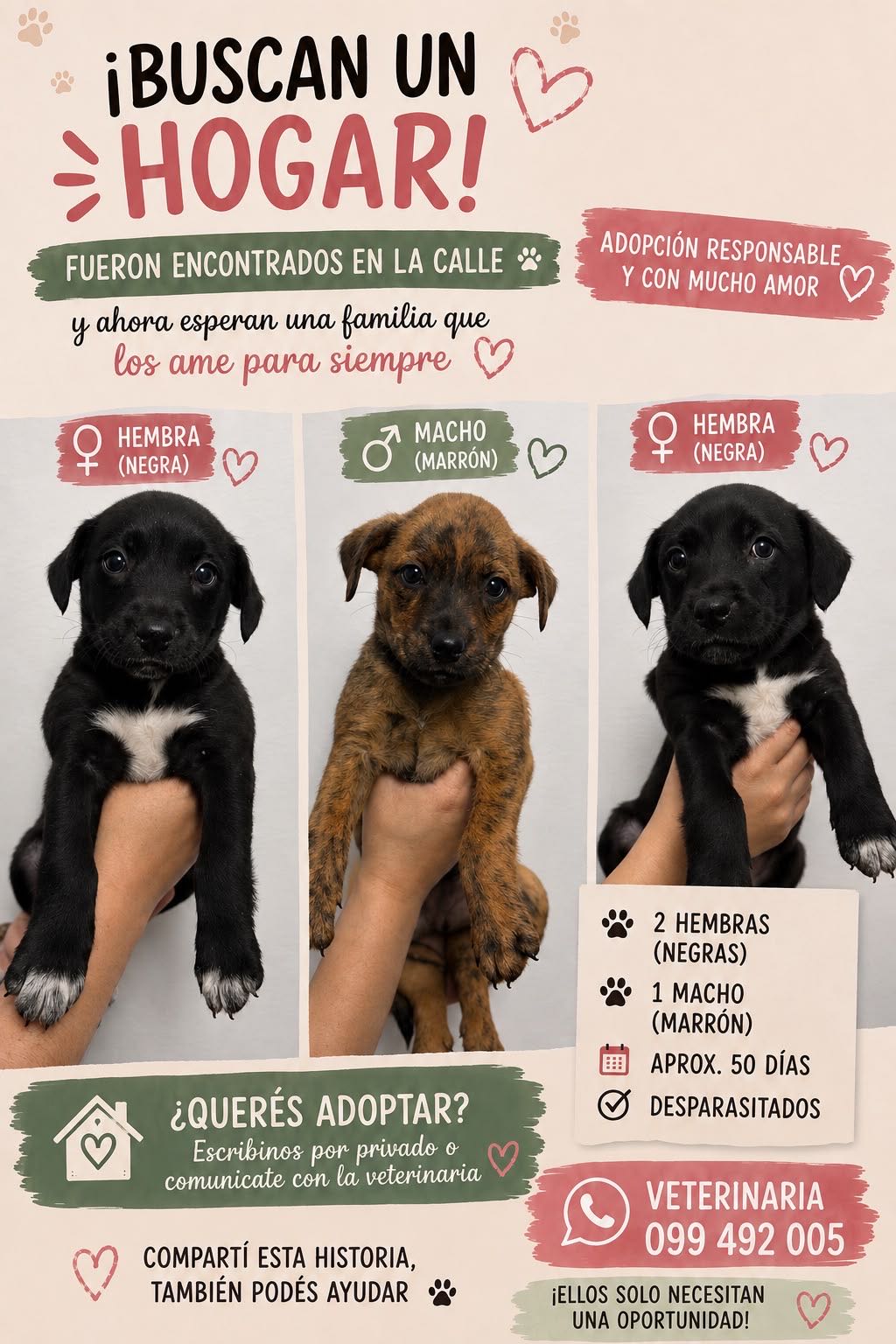 Perro