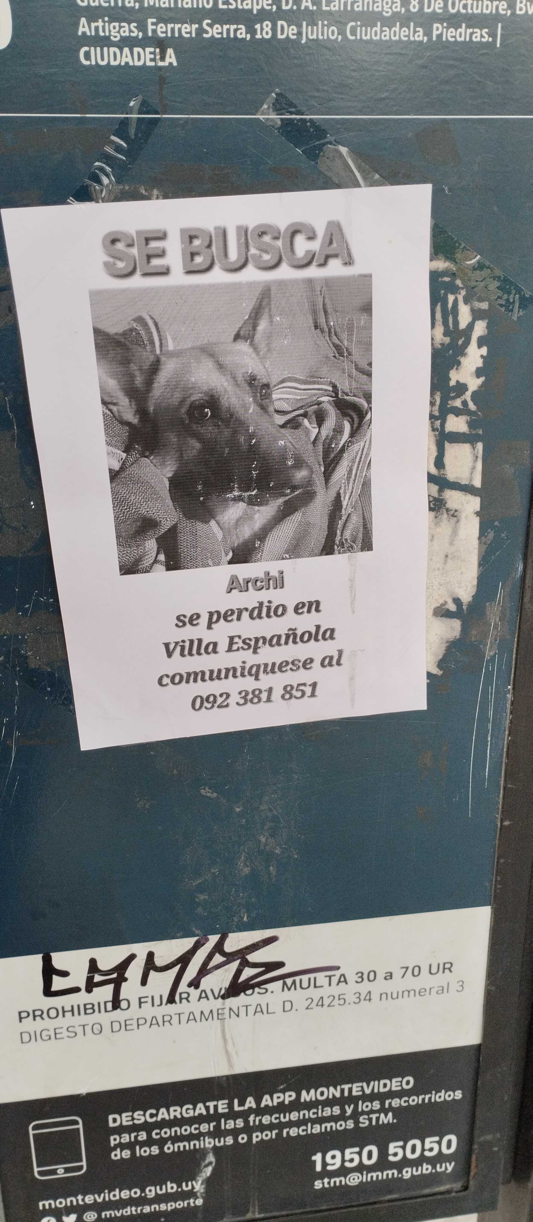 Archi