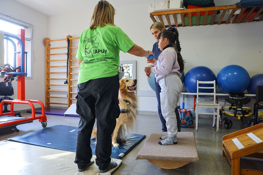 PEREIRA ROSSELL - Terapia asistida por perros