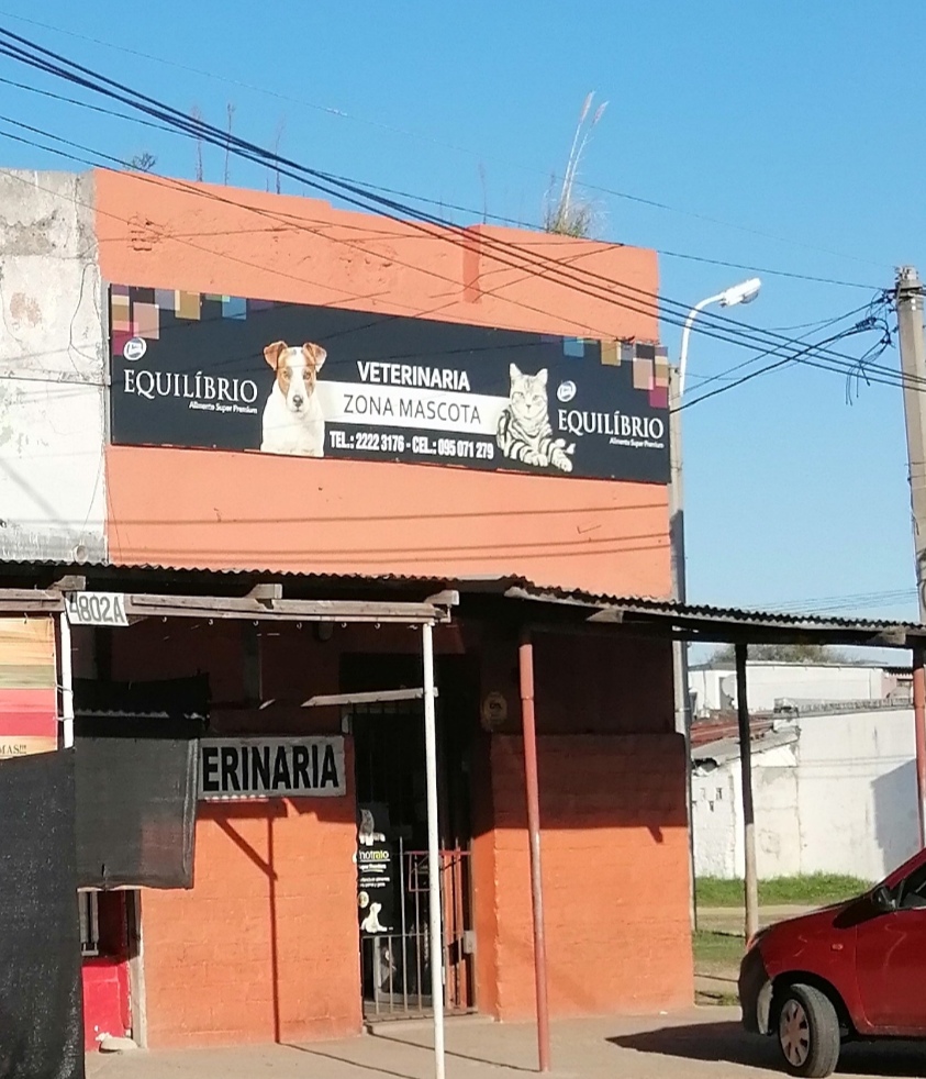 Zona Mascota