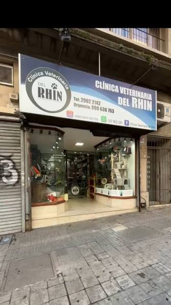 Clínica Veterinaria del Rhin