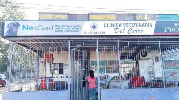 VETERINARIA DEL CERRO