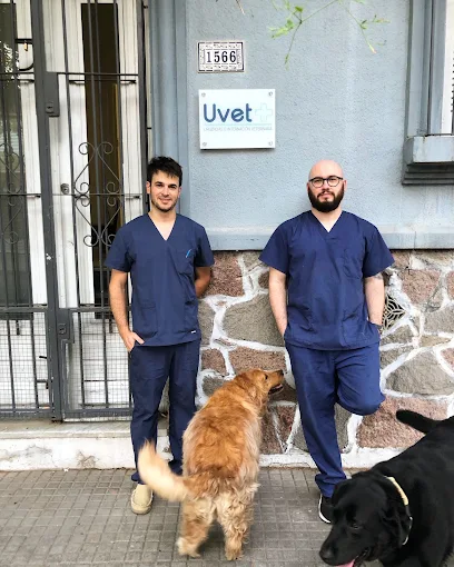 Uvet