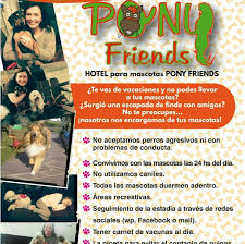 Hotel de mascotas Pony Friends