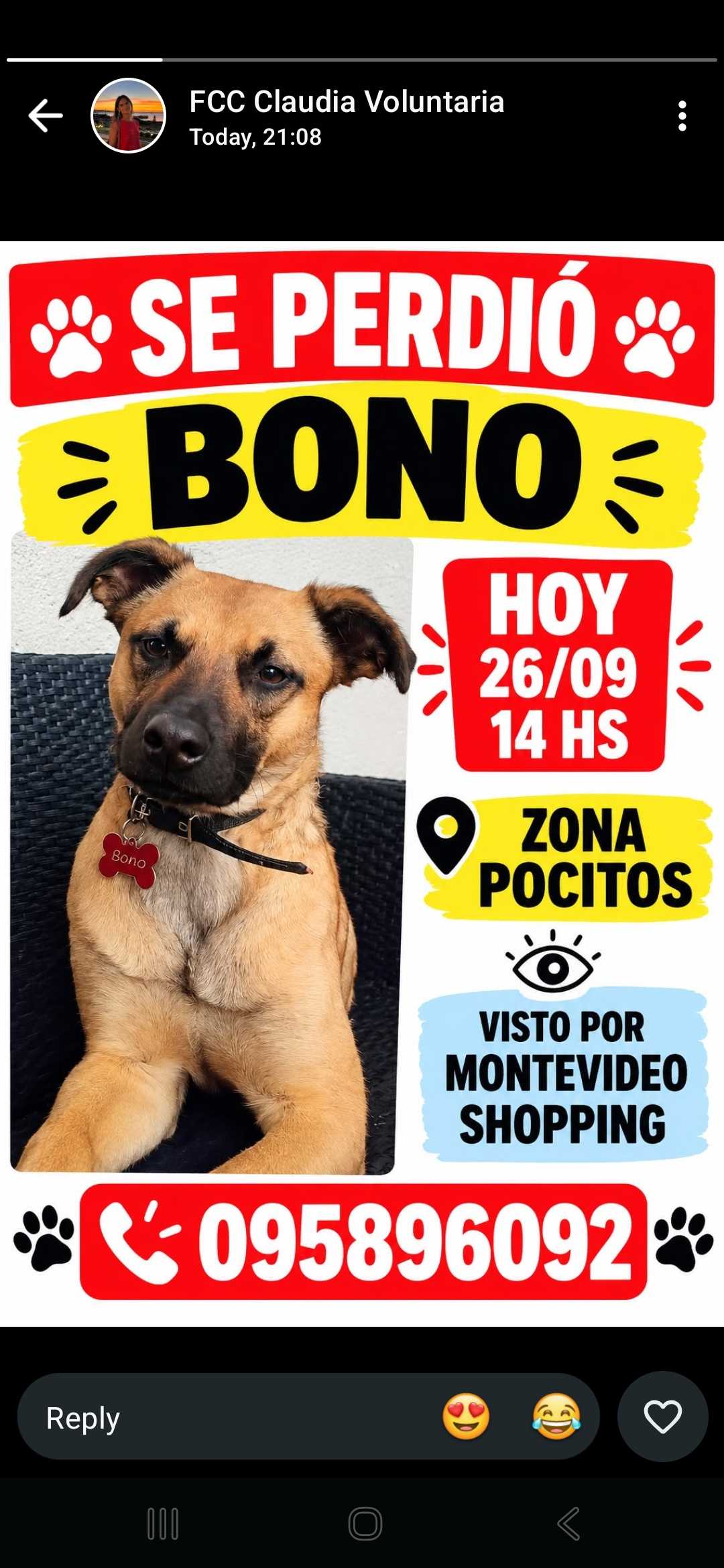 Bono