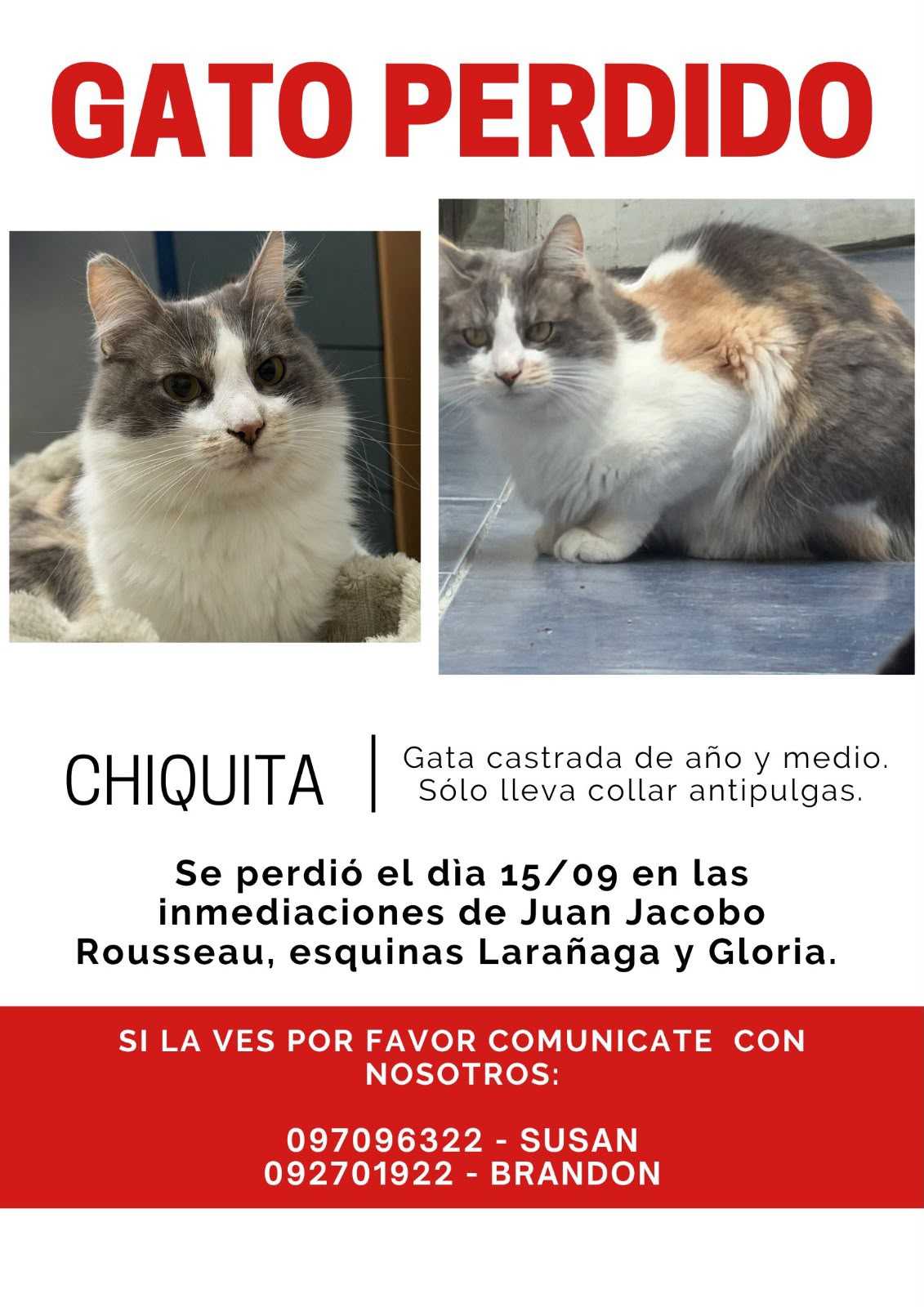Chiquita