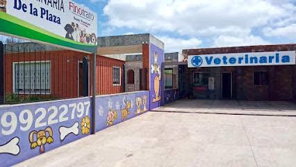 Veterinaria De la Plaza