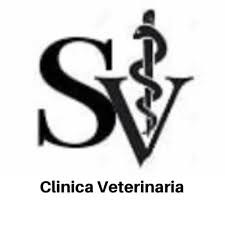 Shopping-Vet