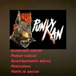 Punkykan