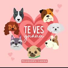 Te ves guauu Peluquería Canina
