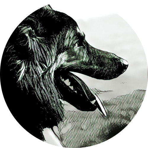 Educación Canina Uruguay