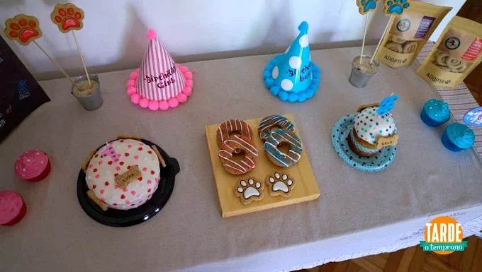 Delicias Caninas