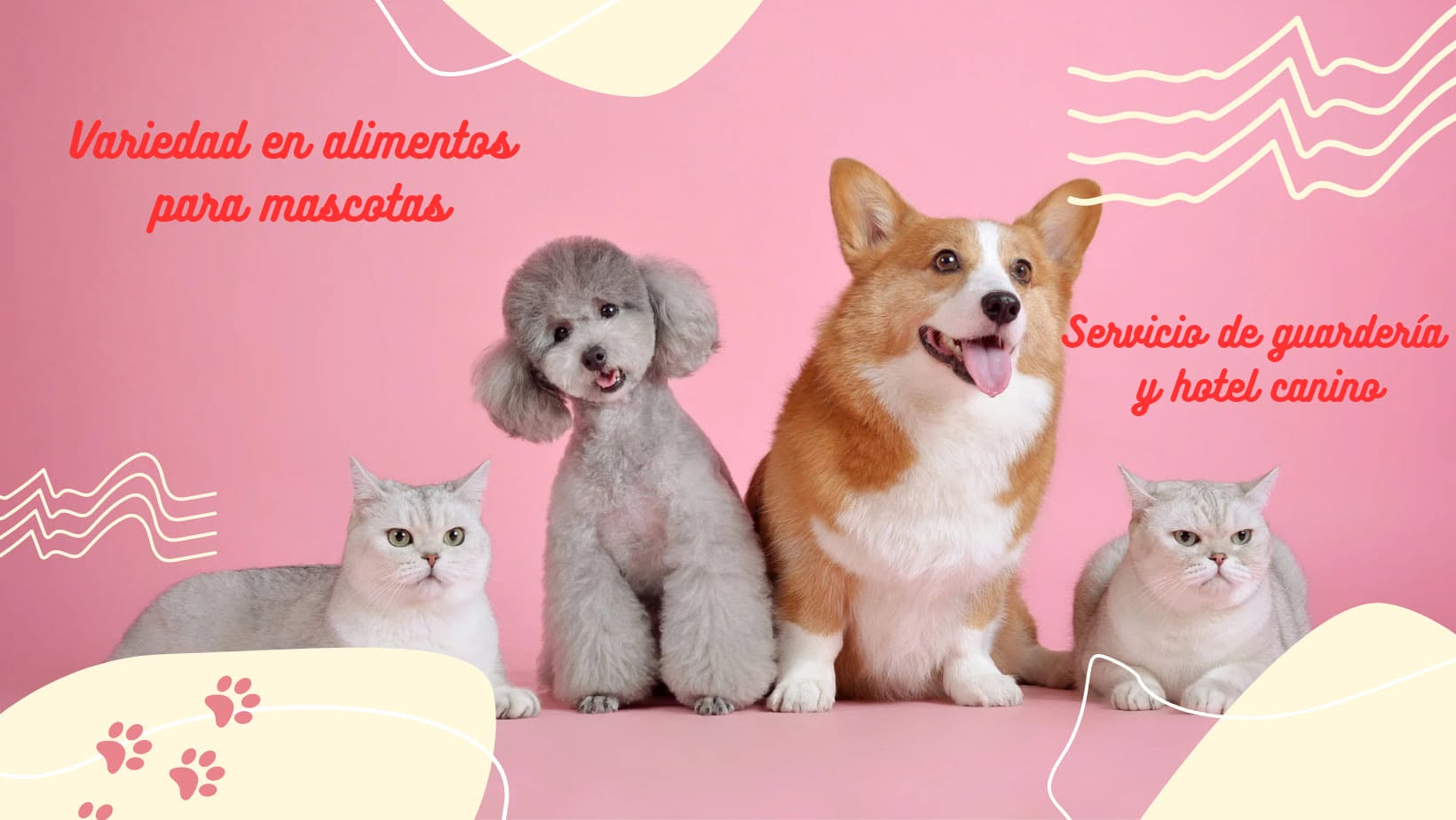 Hotel Canino NutrePet