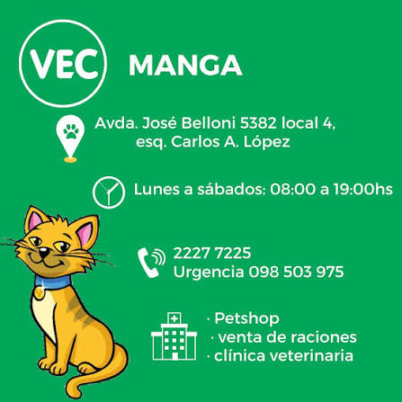 VEC Manga