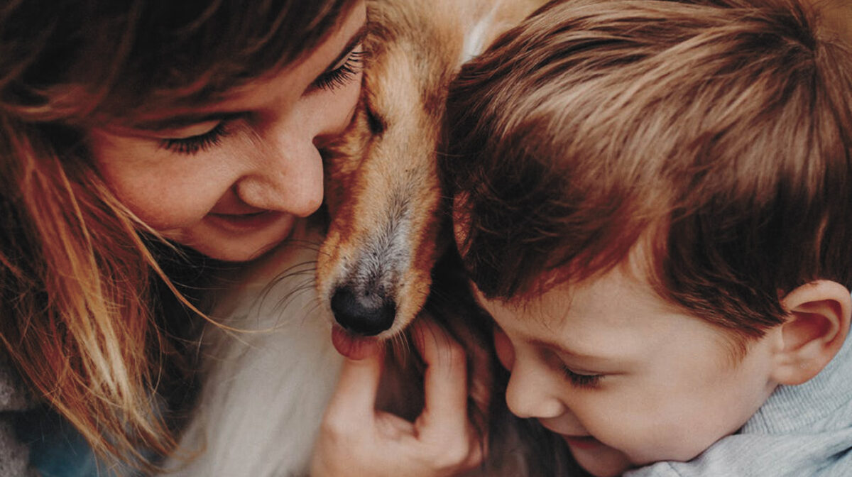 De mascota a familia