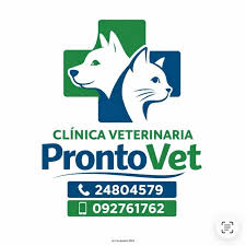Clínica Veterinaria ProntoVet