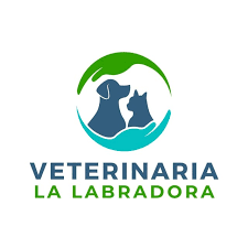Veterinaria La Labradora