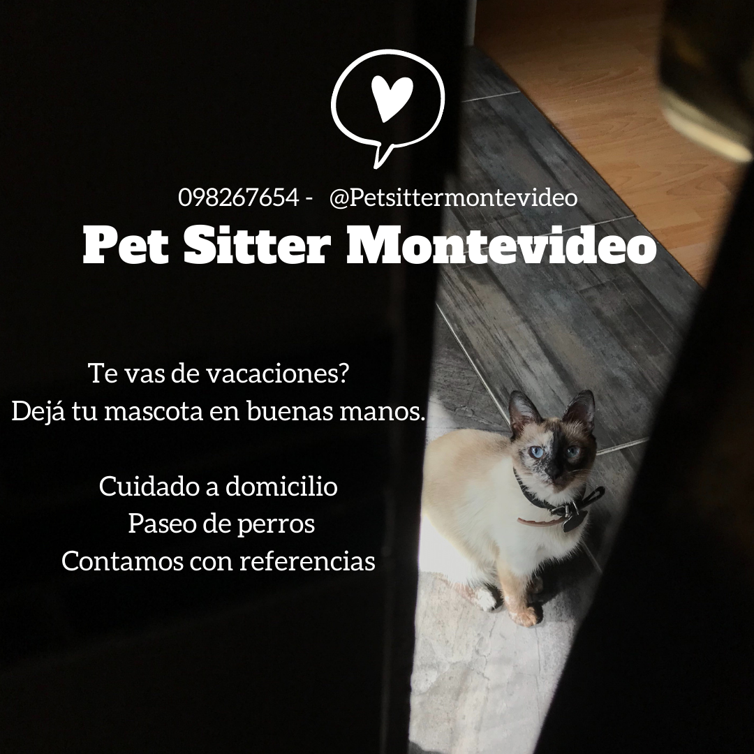 Pet sitter Montevideo