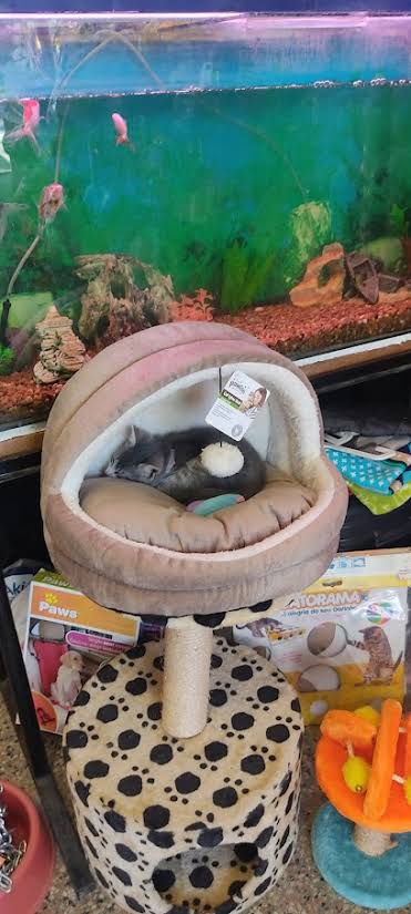 Veterinaria Nueva Tucan