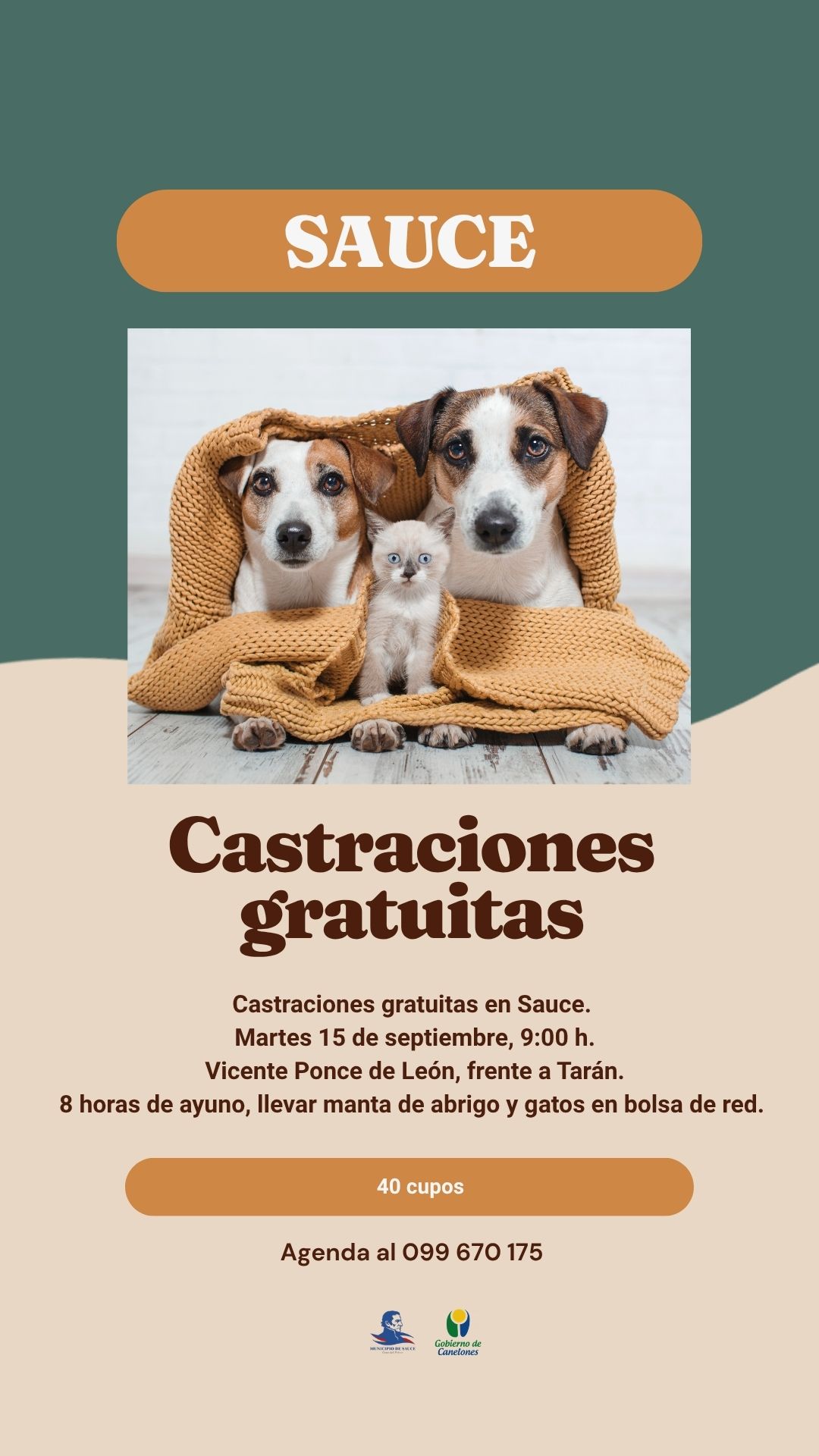 Castraciones gratuitas en Sauce