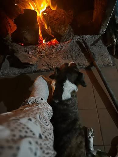 Hotel Canino Su dulce Hogar