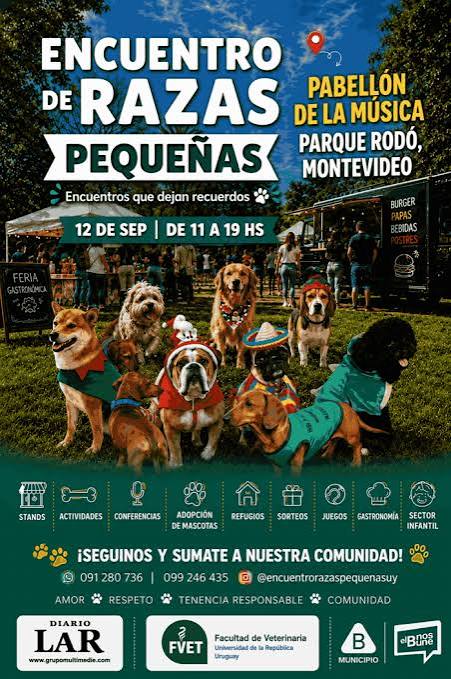 Encuentro de razas pequeñas