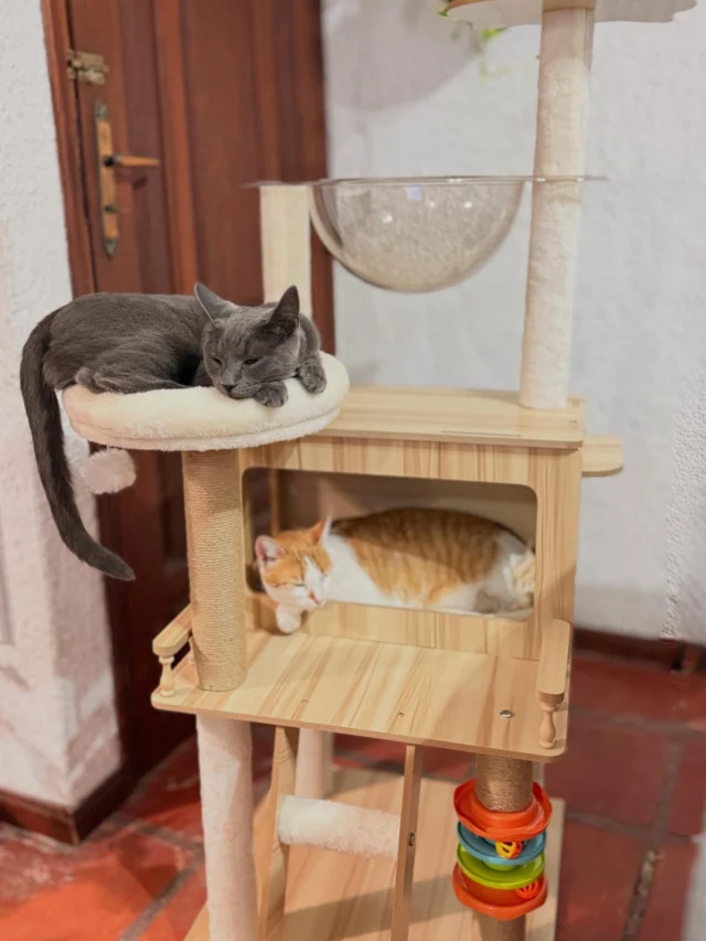 Petlove