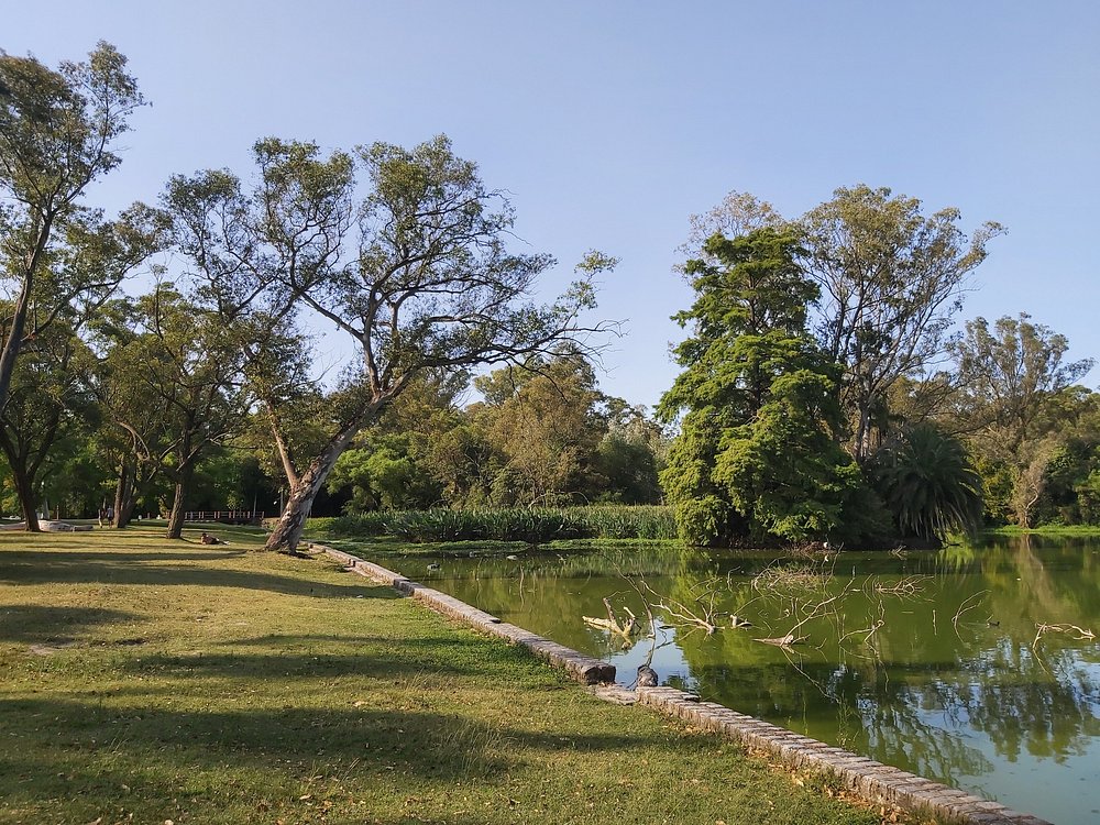 Parque Rivera
