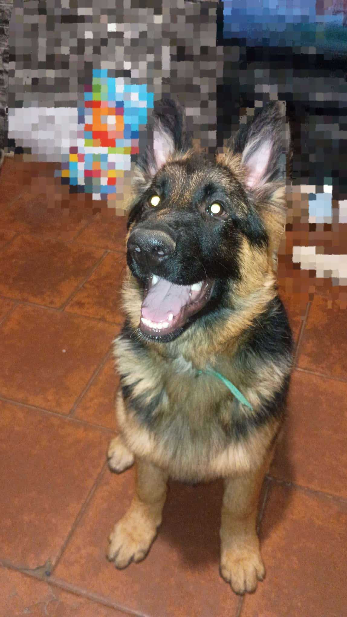 Thor