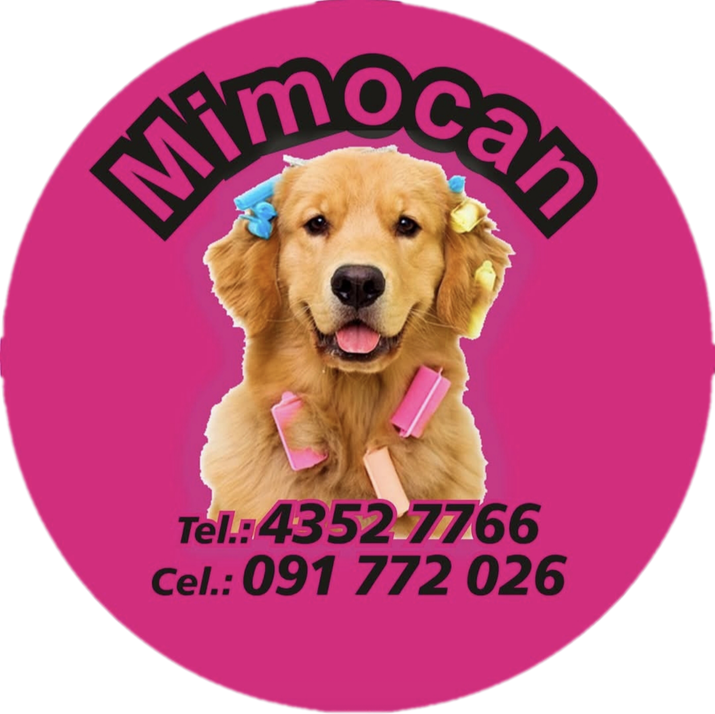 Mimo Can