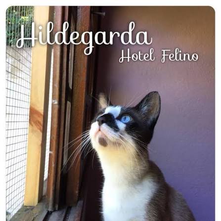 Hotel para Gatos Hildegarda