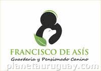 Guarderia y Pensionado canino Francisco de Asis
