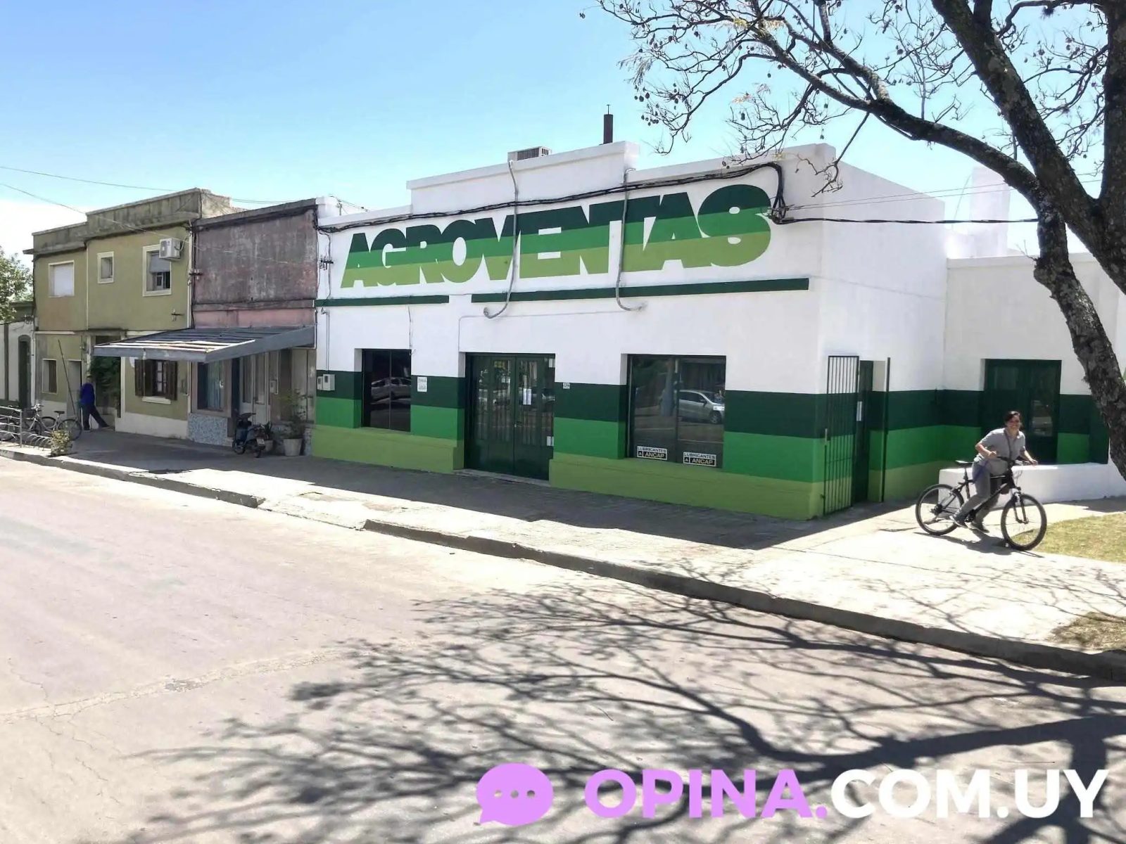 Agroventas Young