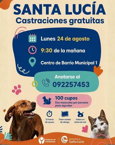Castraciones gratuitas en Santa Lucia