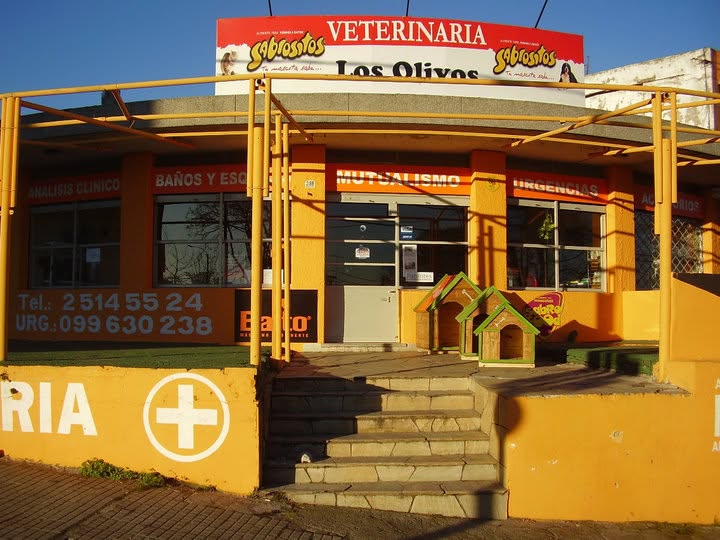 Clinica Veterinaria Los Olivos
