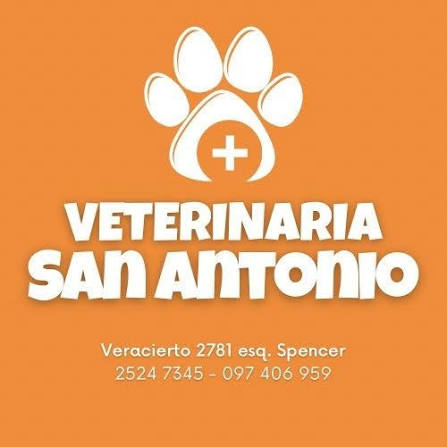 Veterinaria San Antonio