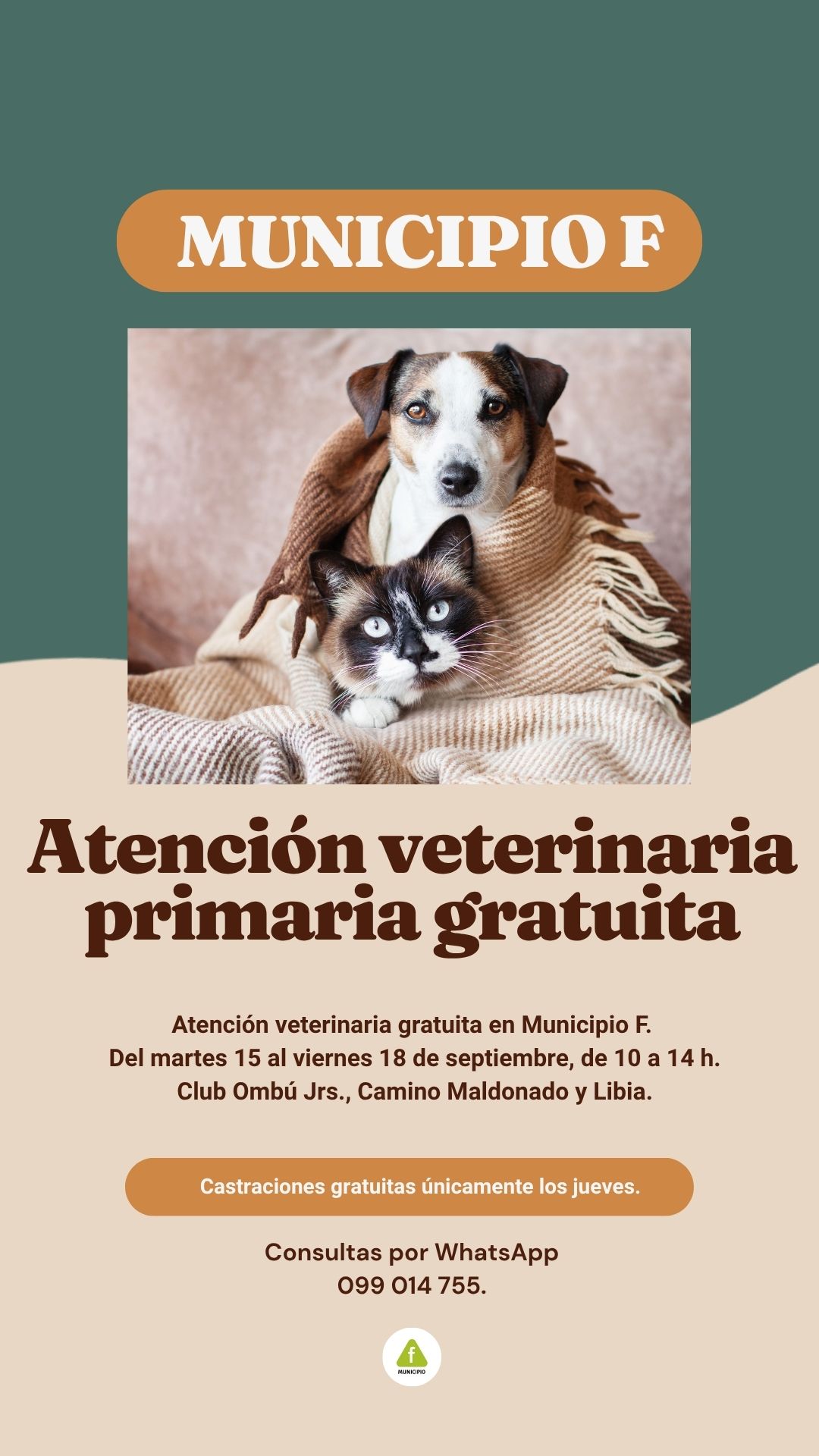 Atención veterinaria primaria gratuita en Municipio F