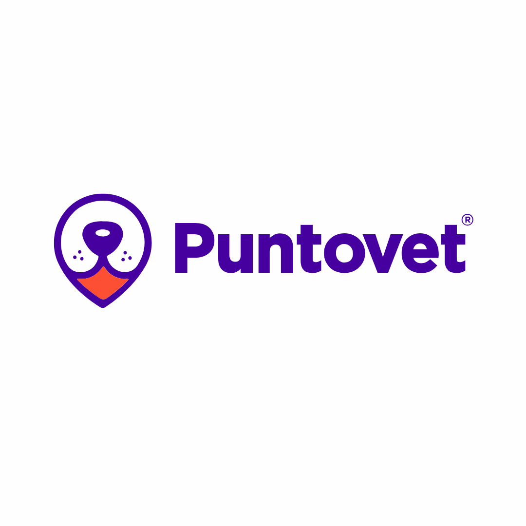 PuntoVet 6