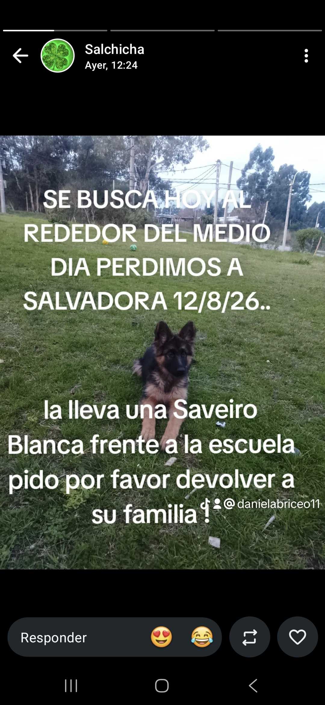 Salvadora