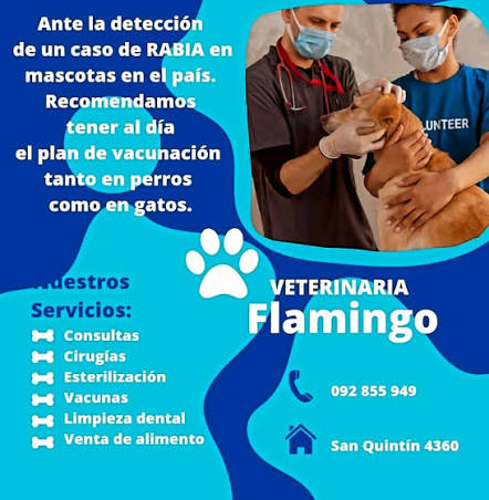 Veterinaria Flamingo