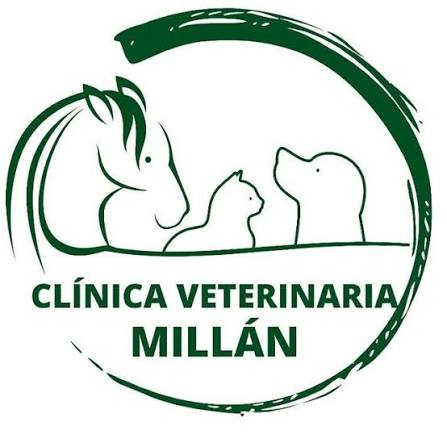 Veterinaria Millán 2