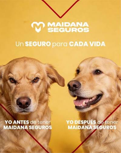 Seguros Maidana - Animal protegido