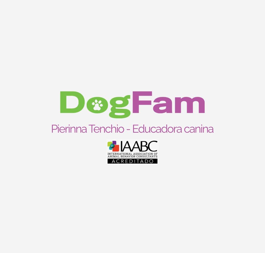 DOG Fam - Educacion Canina