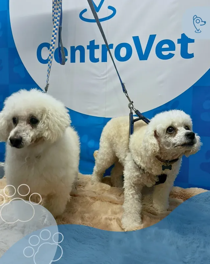 CentroVet